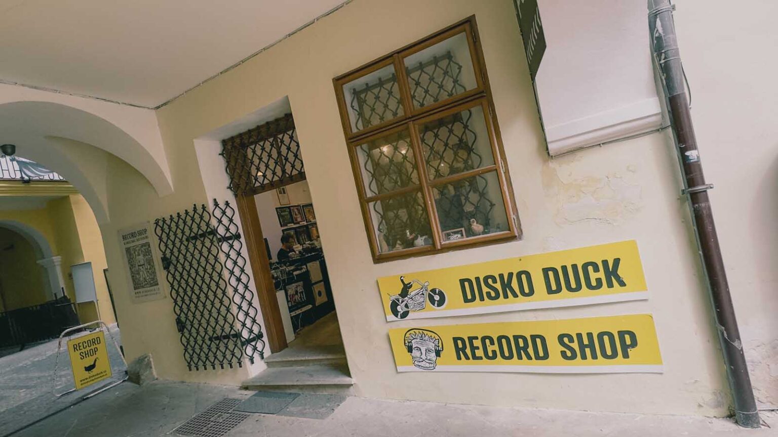 Disko Duck